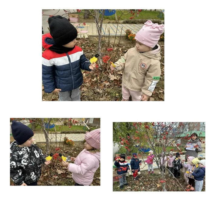 _VQUjMJ51kMFNXOa4PExf0-G4GwHjBFpH-7OWPSbuXOqXWh9JGyqOr673RQztluSFxuKcG_JvJch8RPOZpGjfMbm