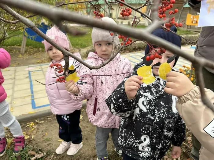 rJMmkUkHj9Zl0XPcEaWOCjwBYeDAtKns6742gCTFbiDTM98iM2-rnVZR789VcU9wQYbQ-qQoSSL2-yhzmL1x-GwL