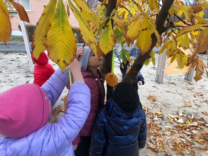 TN7N-IuAa-JjUaE8MQbUbL55fXUdTwxr2rns3DAsBNxWYUbzBArI8Ctn6VNd5RLbieus2VWhxscRaR0x-p51JItV